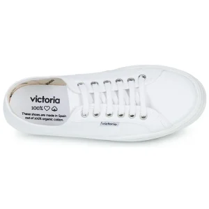 Retour gratuit en magasin. Victoria – COMETA MULTI 18