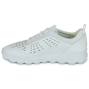soldes en ligne Geox – D SPHERICA 14